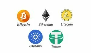 Coin Market Cap